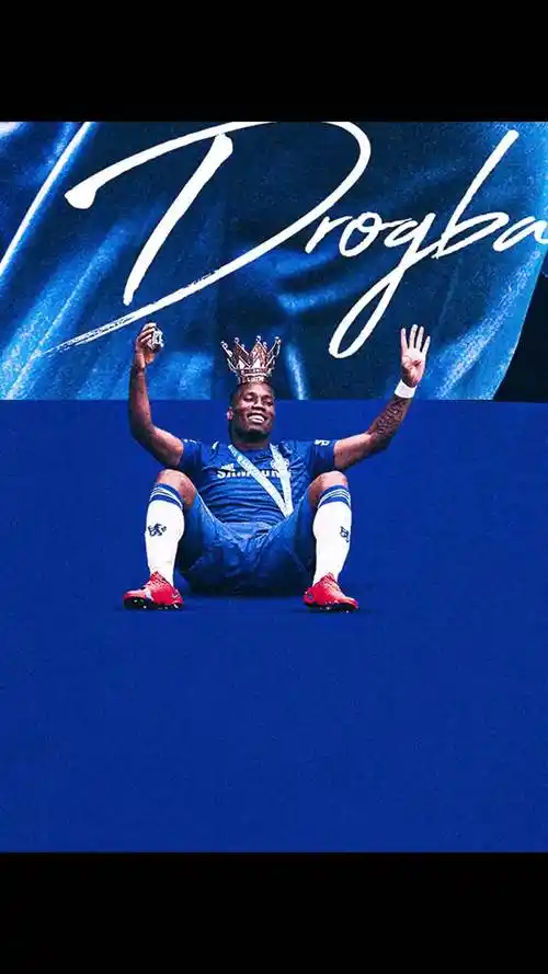 起到了关键 起到了关键