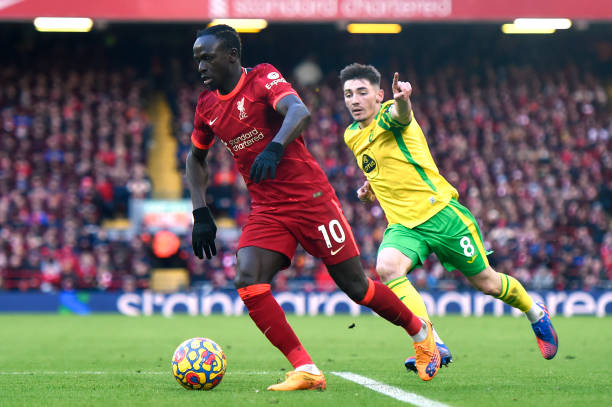 無愧的王者 無愧的王者